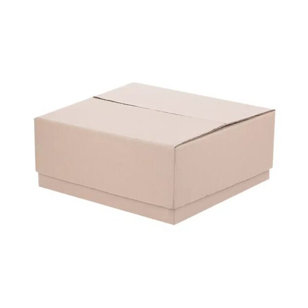 CAJA DE CARTÓN TELESCÓPICA
