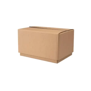 Caja de cartón telescópica