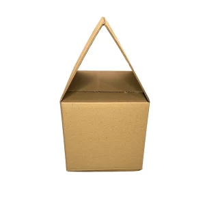 Caja de cartón traslapada